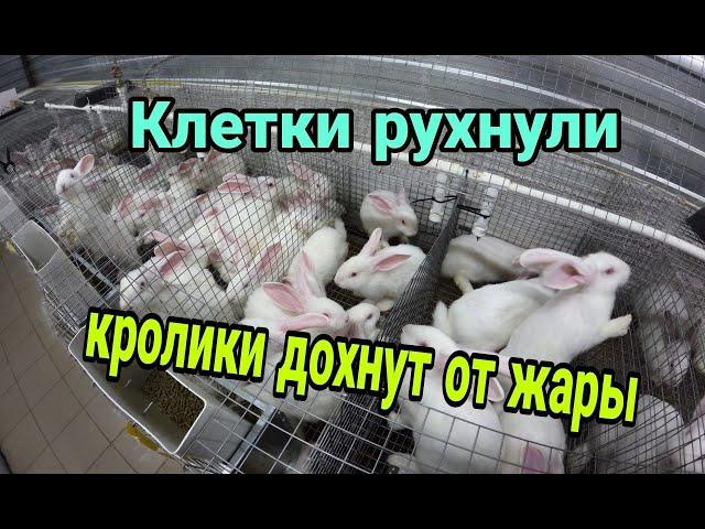 КРОЛЬЧАТНИК. МОИ ОШИБКИ И РЕШЕНИЯ. Обзор крольчатника 3 месяца спустя.