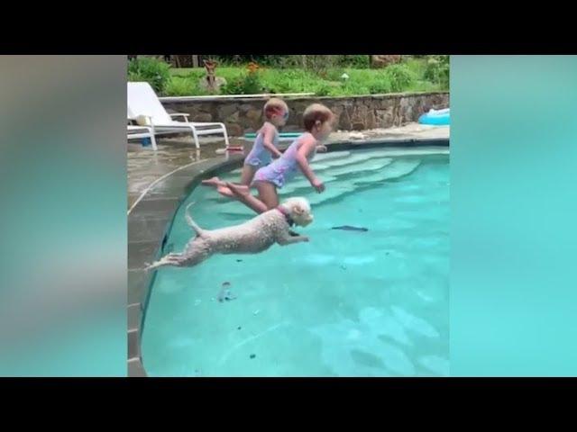 Amazing Kid - Funny, Fails, Like a BOSS Compilation 2019