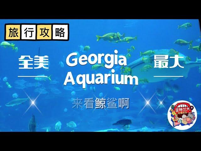 【旅行攻略】佐治亚小骄傲Georgia Aquarium：全美最大水族馆，来看鲸鲨吧！