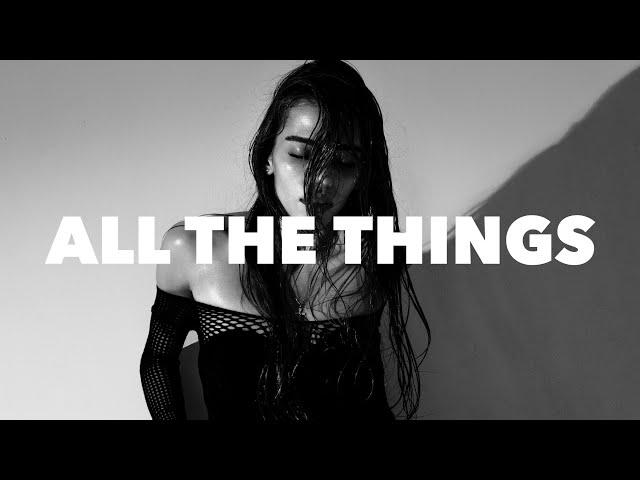 All The Things She Said (PET3RPUNX Hypertechno Remix)