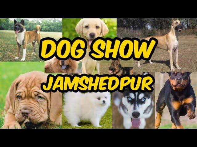 Jamshedpur Dog Show 2020 |Nsr vlogs