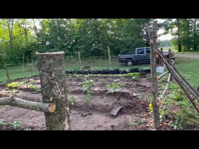 The Humble Beginnings of a Homestead