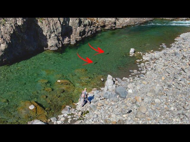 Trout Hunting on one of New Zealand's Giant Trout Rivers.