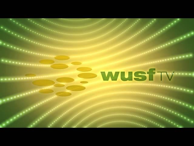 WUSF ID HD 14 FINAL