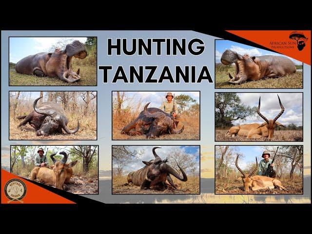 Hunting Buffalo and Hippo in Tanzania