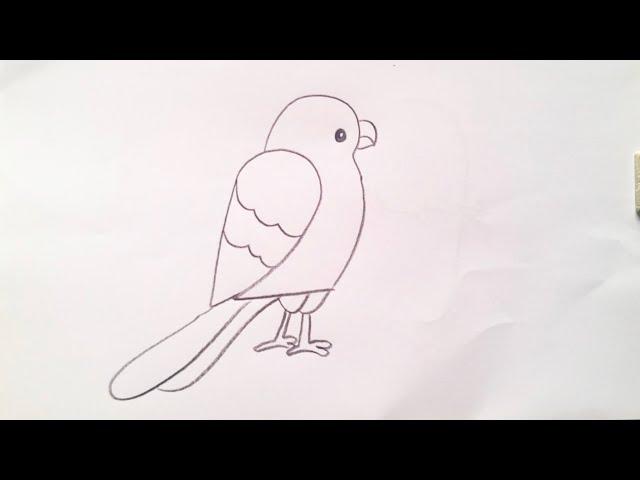 how to draw parrot drawing from 2 number easy step by step@DrawingTalent