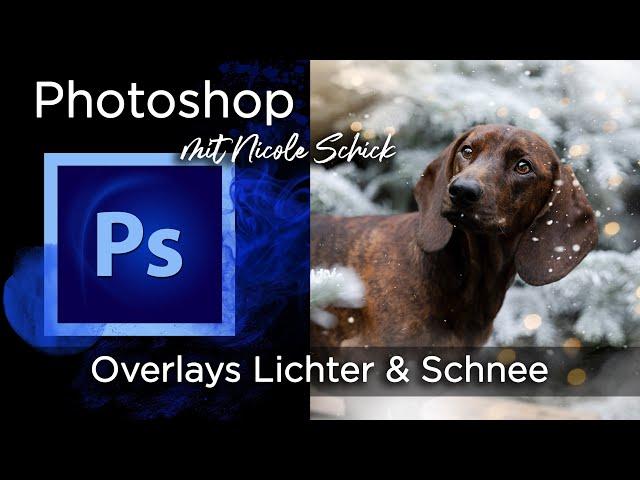 Overlays Lichter und Schnee -  Photoshop mit Nicole Schick - Xmas Edition