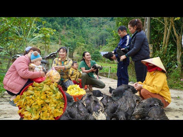 Harvesting squash flowers, bringing black chickens to market to sell, farm life