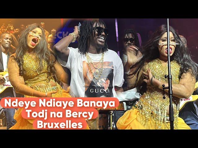Héhé Bercy Bruxelles,Ndeye Ndiaye Banaya séduit Wally avrc sa nouvelle danse très sexy