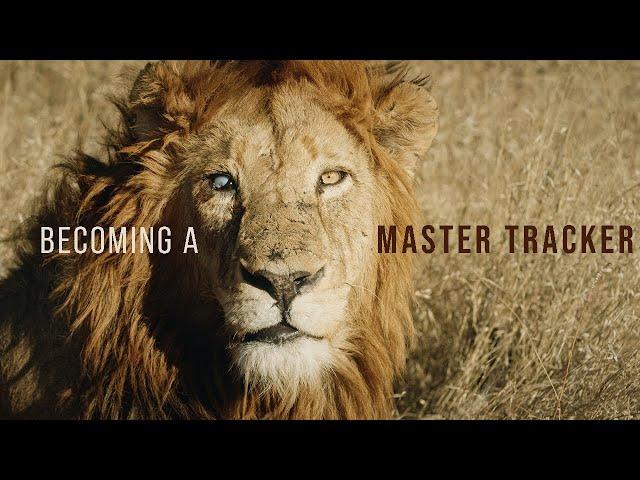 Becoming a Master Tracker - Inside Africa's Kruger National Park