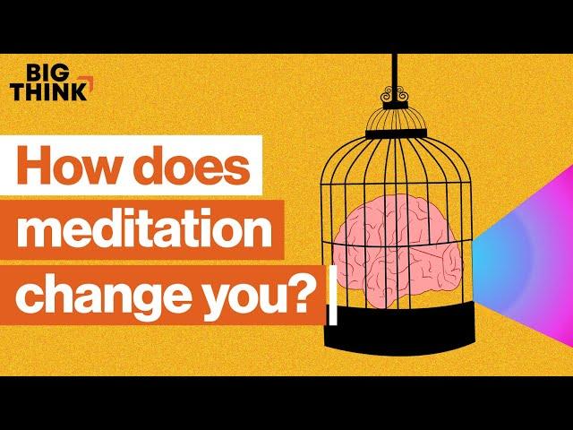 How meditation can change your life and mind | Sam Harris, Jon Kabat-Zinn & more | Big Think