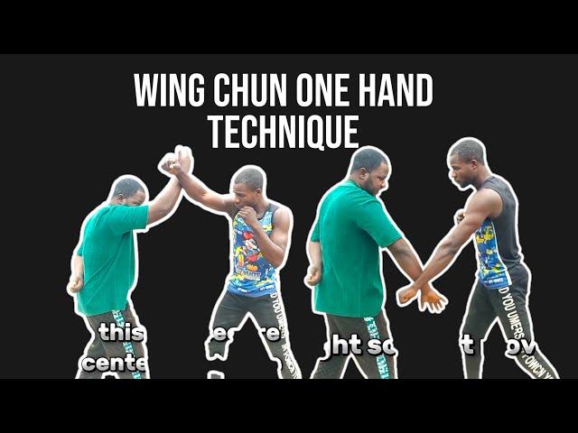 Wing chun one hand technique