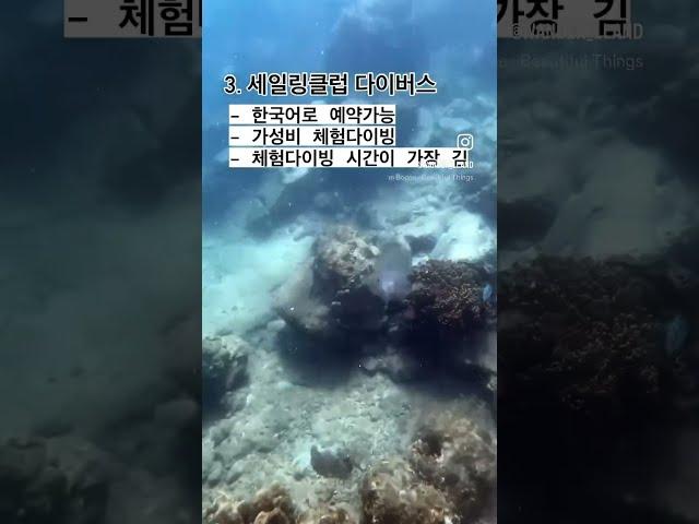 나트랑 여행갈 사람 주목️조용한 호핑투어 업체 3곳 비교 본인의 취향에 맞게 선택만 하세요