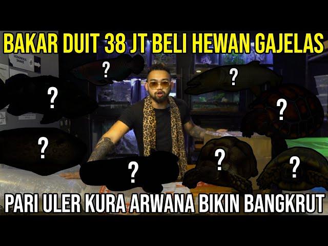 BAKAR DUIT 38 JT BELI HEWAN GAJELAS PARI ULER KURA ARWANA BIKIN BANGKRUT #Audreykingofthejungle