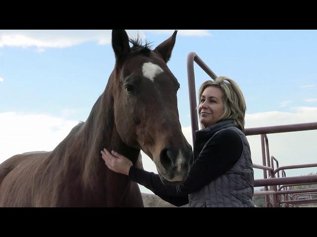 Colorado Horse Rescue - Join the Journey