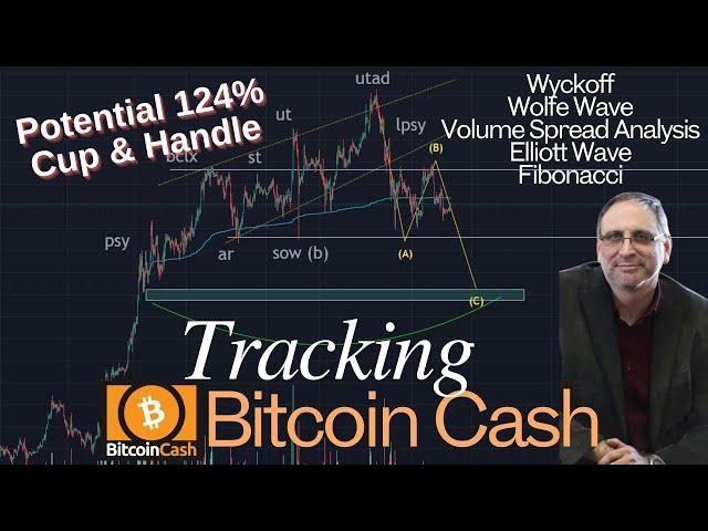 Tracking Bitcoin Cash: Macro Cup & Handle, Potential 124% Altcoin Season Markup #bitcoincash #bch