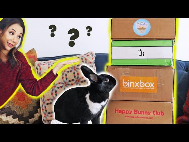 COMPARING ALL THE BUNNY SUBSCRIPTION BOXES! 