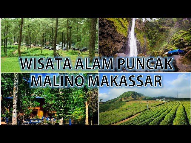 Wisata alam puncak di Malino Kabupaten Gowa Sulawesi Selatan ! Udaranya sejuk pemandangannya indah