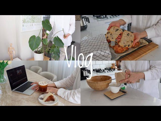 71| Zeytinli Ciabatta Ekmeği , San Sabastian Cheesecake ‍, Soğan Mezesi , Günlük Vlog 