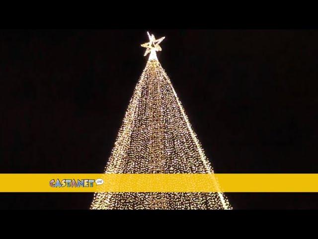 Tree of Hope officially lit