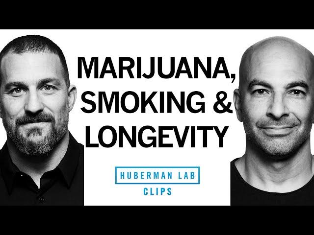 Health Impact of Smoking & Vaping Both Marijuana & Nicotine | Dr. Peter Attia & Dr. Andrew Huberman