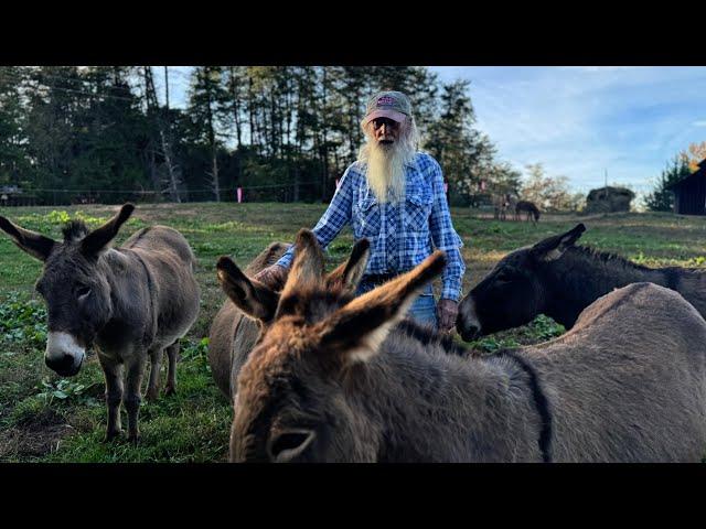 North Carolina Man Has Lived on the Same Farm for 83 Years: Waynnie Takes Us On a Tour on His Farm!!