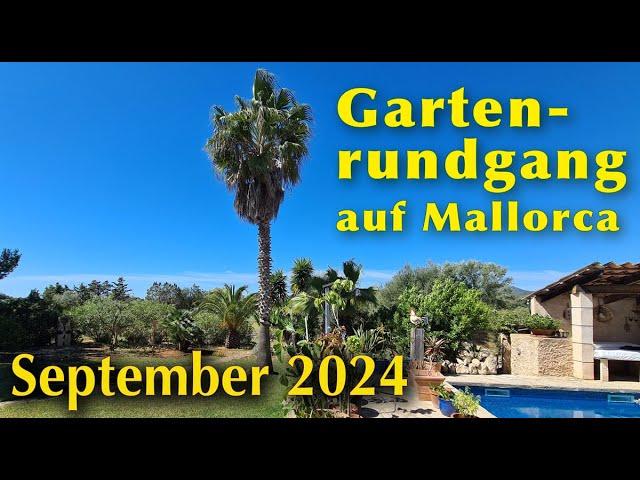 GARTENRUNDGANG auf Mallorca 2024! ️ Mein Garten im September  Aufgenommen am 9.9.2024