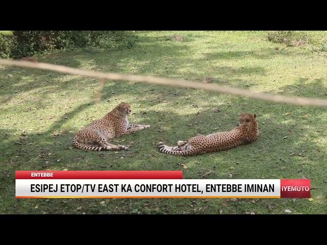 ESIPEJ ETOP/TV EAST KA CONFORT HOTEL LU MINAN KO ENTEBBE