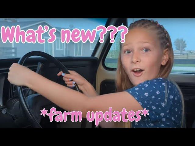 What's new on the farm? Updates + new additions to the property!