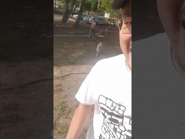 被追殺的樣子 #Shorts