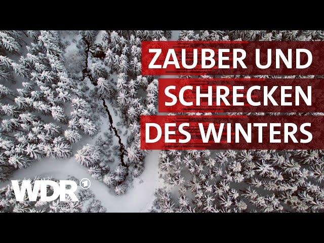 Wenn der Winter kommt | Heimatflimmern | WDR