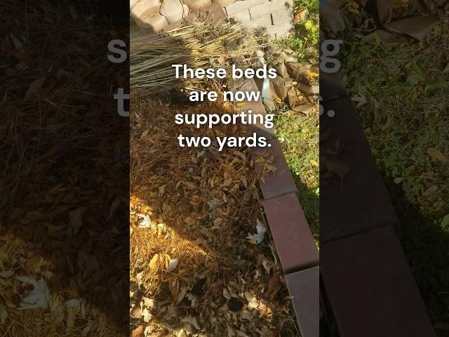 Don't Leave Those Leaves in the Gutter Leaves, Use them! #soil #garden #raisedbeds #beergarden