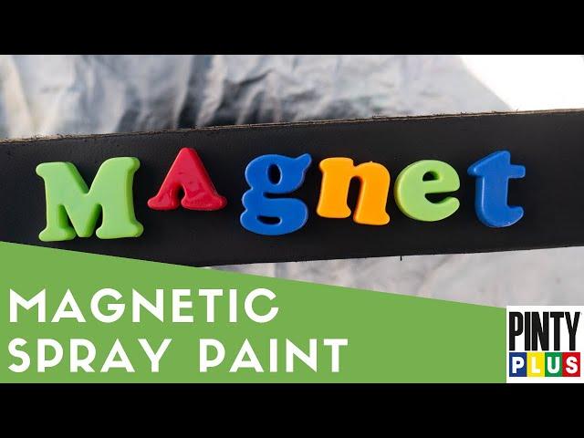 Pinty Plus magnetic spray paint