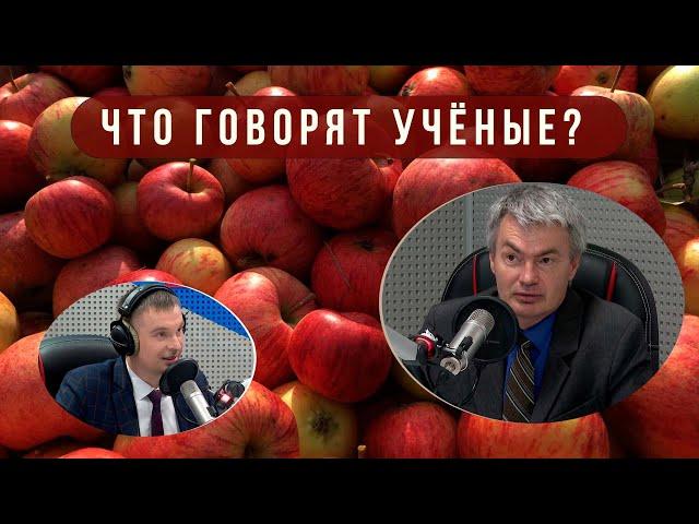 В России растёт производство сидра. Аграрная наука о сидре // Что говорят учёные?