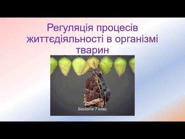 Біологія. Тварини. Регуляція процесів життєдіяльності у тварин
