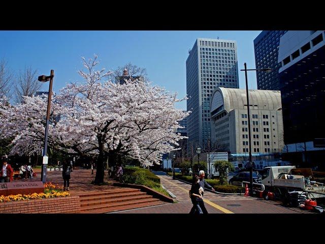 Walking in Tokyo (Japan)