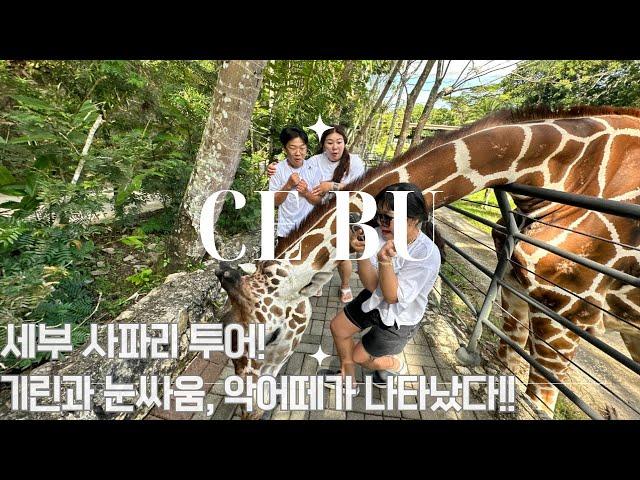 필리핀 세부 자유여행(23.12.31)세부 막탄 슈라인, 세부 사파리 | #Cebu Safari & Adventure Park