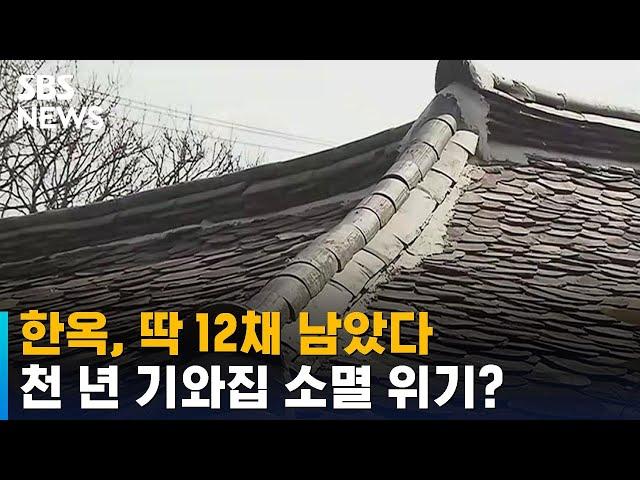 "천 년 간다"는데 사라질 위기…딱 12채 남았다 / SBS