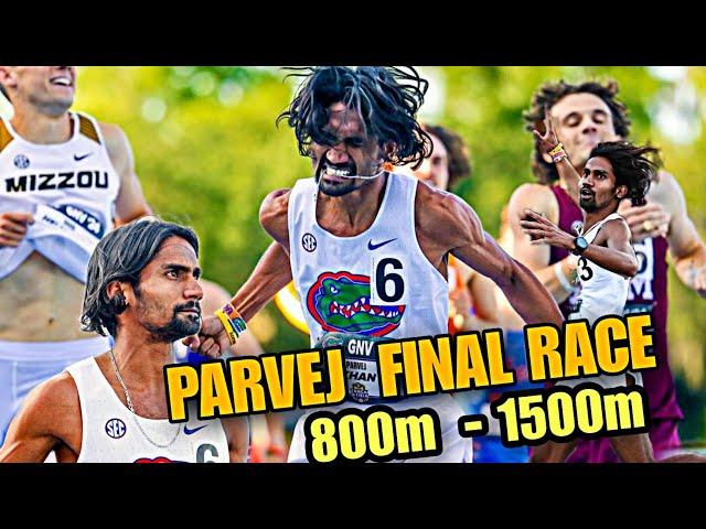 PARVEJ KHAN 1500M - 3:43.73  , 800M - 1:46.80 FINAL RACE USA , 2024 SEC CHAMPIONSHIPS  #parvej800m