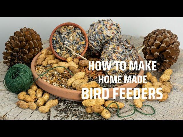 How to make cheap natural bird feeders with home made fat balls for birds