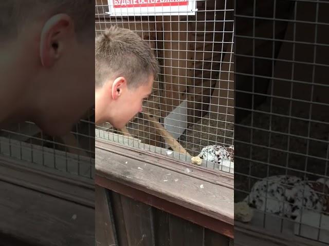 Сынуля жжёт