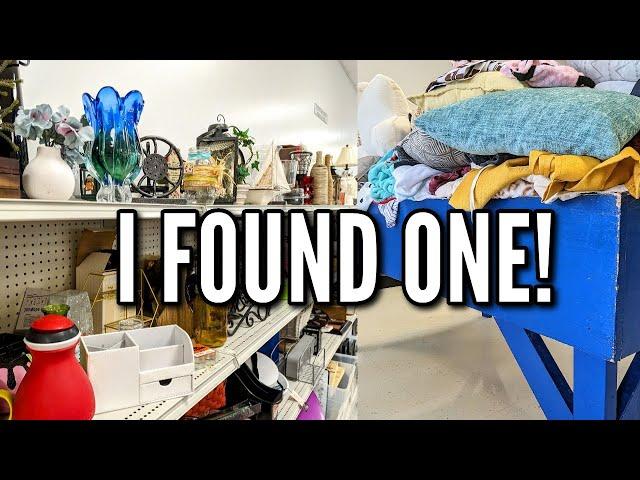 I FOUND ONE AT GOODWILL! | THRIFT SHOPPING + MY HAUL| NEW 2024!