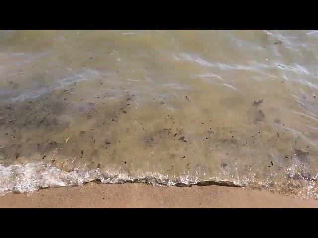 Water Sounds, Grand Traverse Bay, Michigan