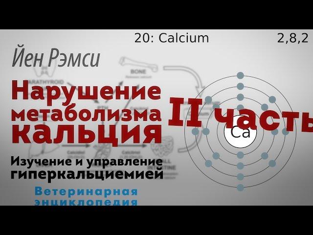 Нарушение метаболизма кальция. Изучение и управление гиперкальциемией