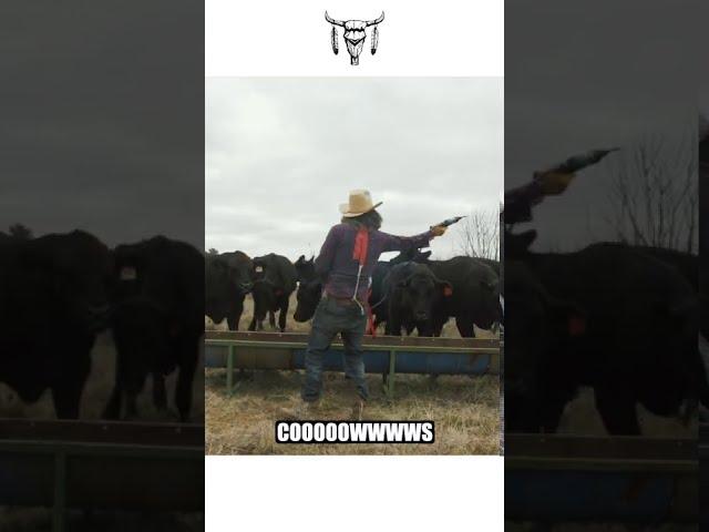 67 year old rancher super soaks cows