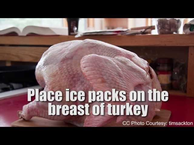 Harold McGee on How to Cook the Perfect Turkey with Chemistry