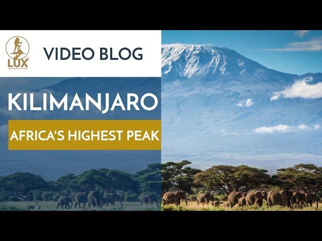 Mt Kilimanjaro - (Kilimanjaro Summit)