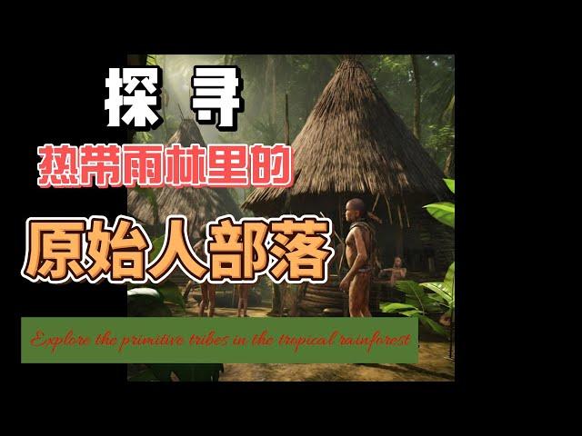 深入腹地：探索熱帶雨林裏的原始人部落—未觸及文明、神秘部落、生態探險|古老傳統、自然生活、野性世界 |稀有發現、文化遺產、環境奇觀|生物多樣性、深林奧秘 |人類學研究、探險紀錄、未知秘境、叢林生存技巧