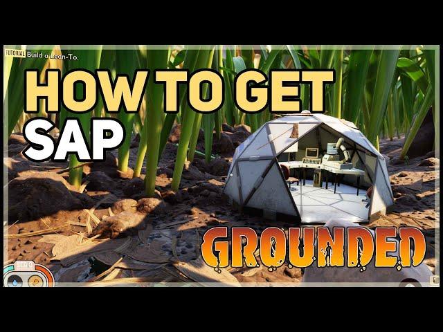 Where to find Sap in Grounded