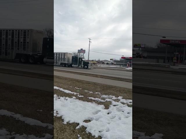 #peterbilt  largecar bull hauler